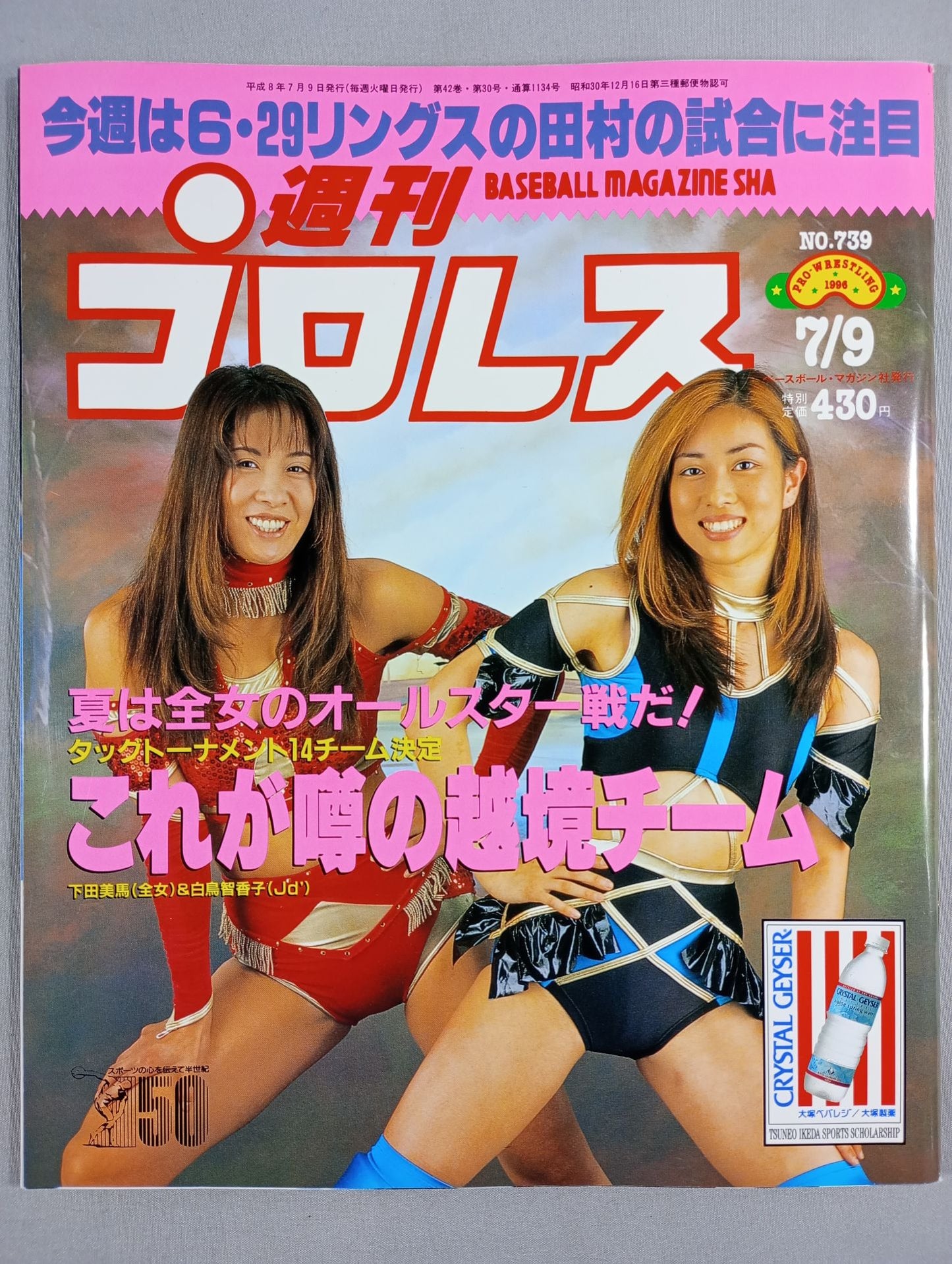 Weekly Pro Wrestling 739