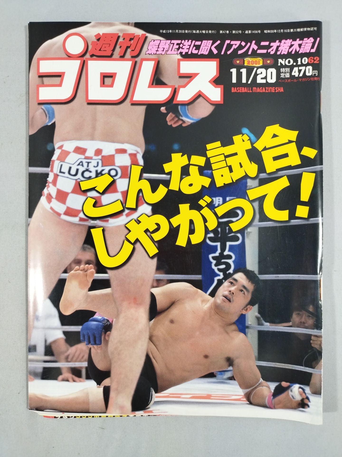 週刊プロレス1062