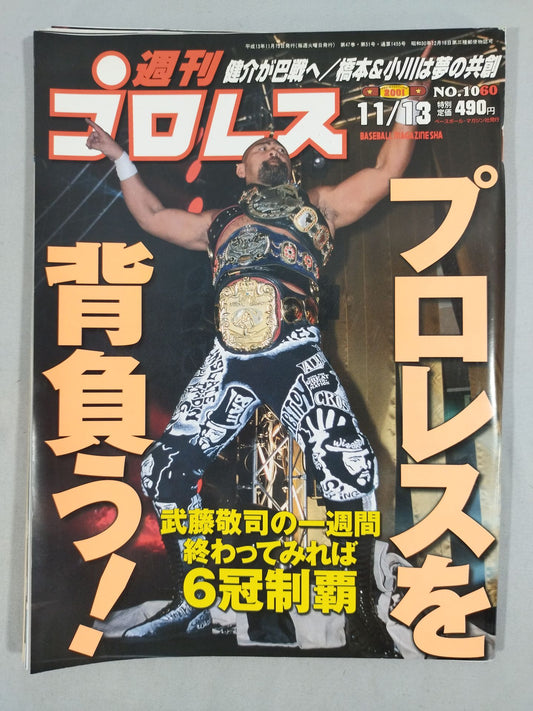 Weekly Pro Wrestling 1060