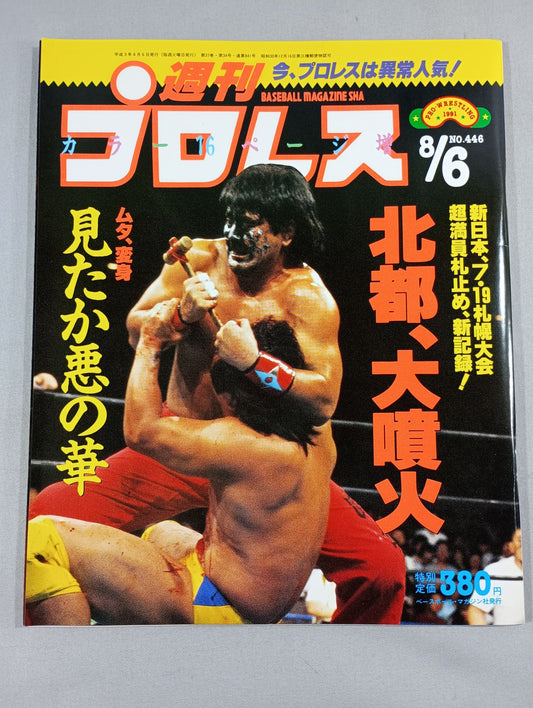 Weekly Pro Wrestling 446