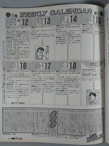 Weekly Pro Wrestling 849