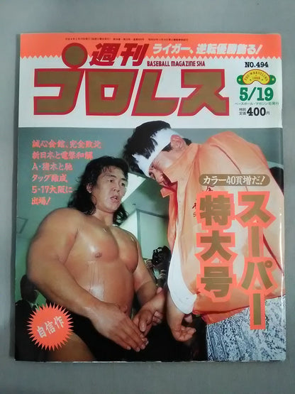 Weekly Pro Wrestling 494