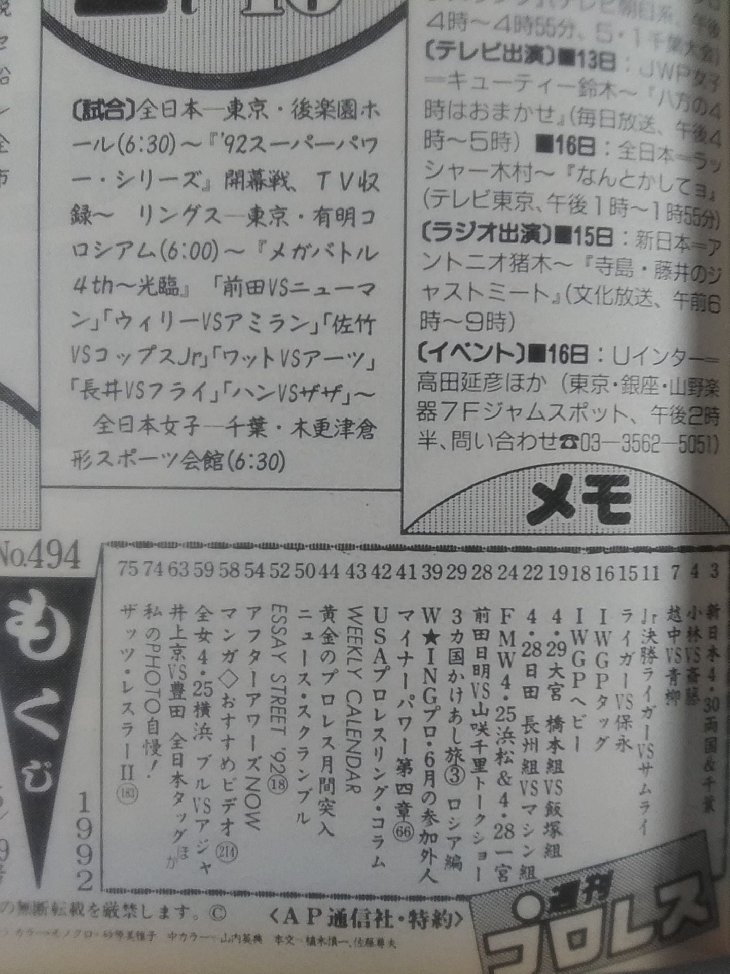 Weekly Pro Wrestling 494