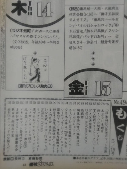 Weekly Pro Wrestling 494