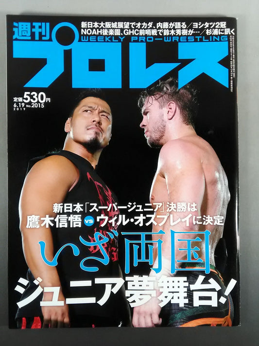 週刊プロレス2015