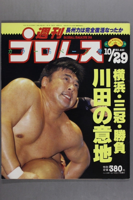 Weekly Pro Wrestling 460