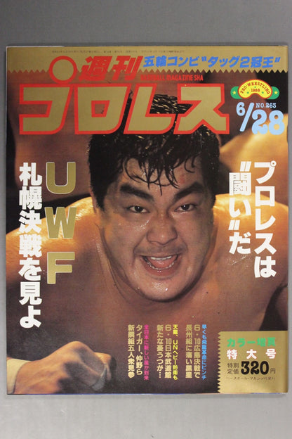 Weekly Pro Wrestling 263