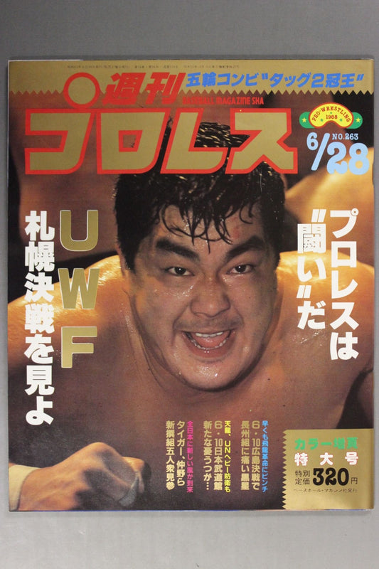 Weekly Pro Wrestling 263
