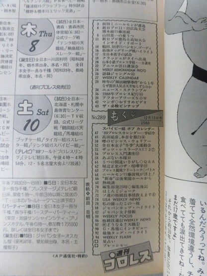週刊プロレス289