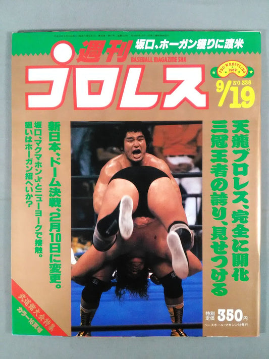 Weekly Pro Wrestling 338