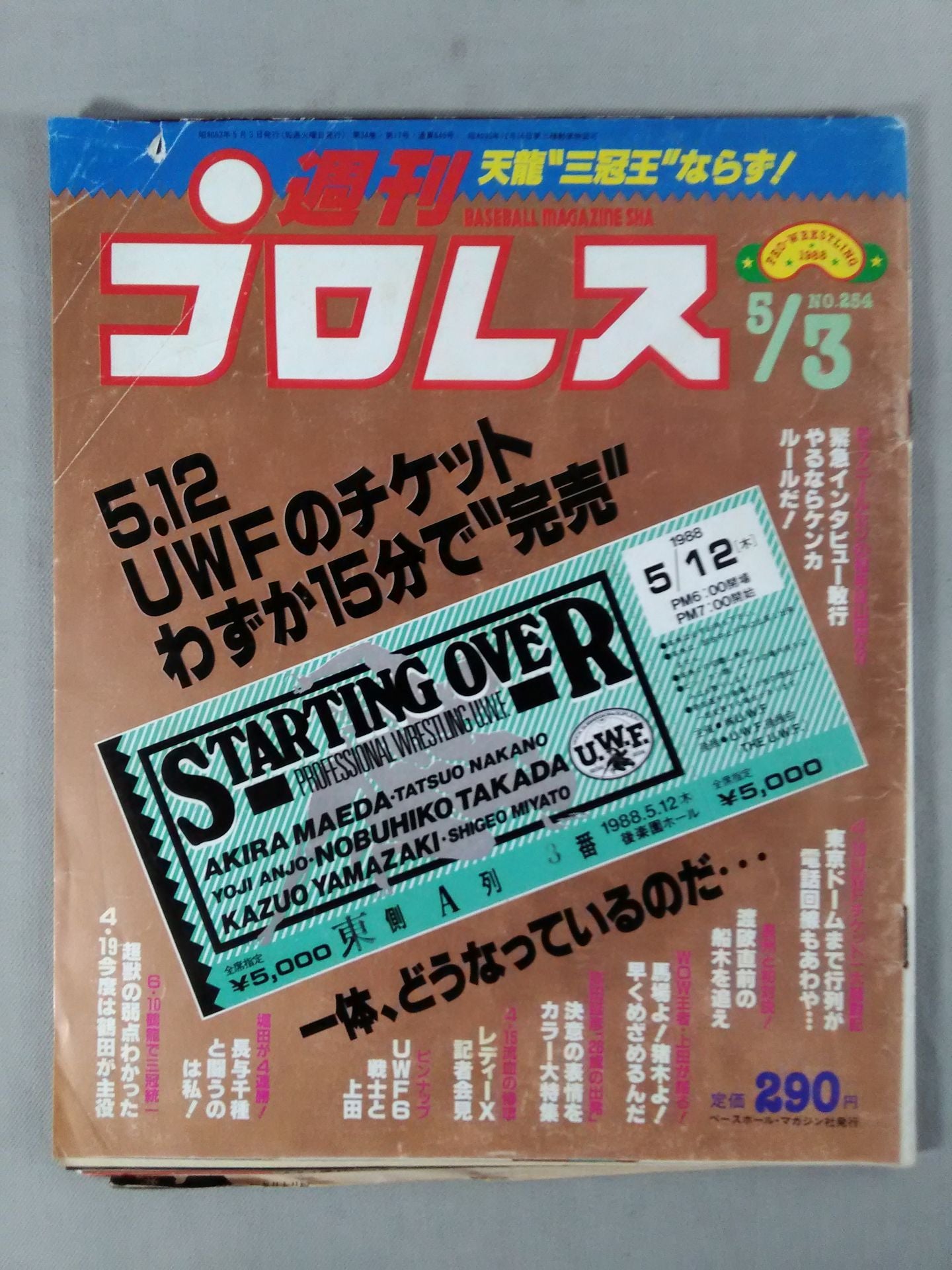 Weekly Pro Wrestling  254