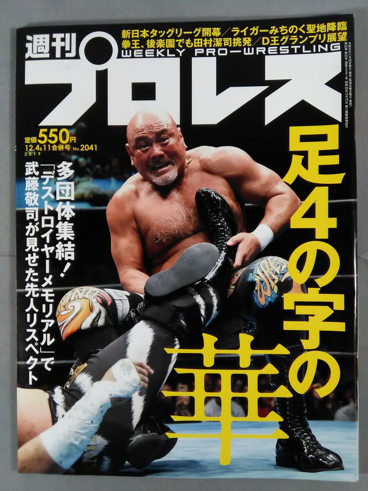 Weekly Pro Wrestling  2041