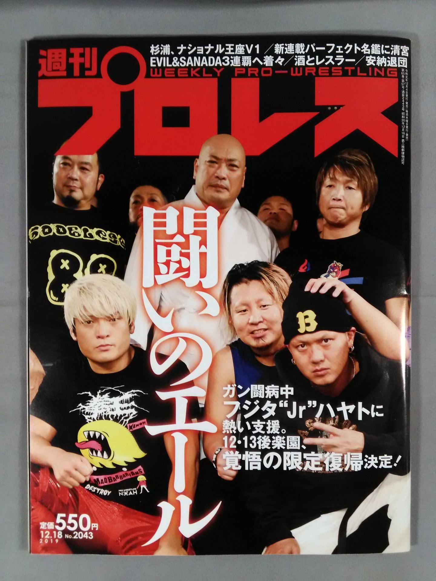 Weekly Pro Wrestling  2043