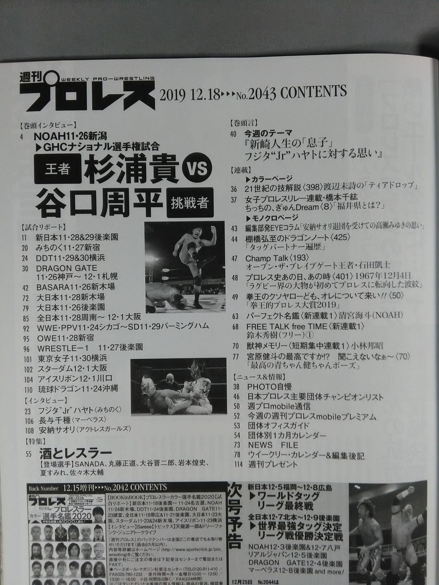 Weekly Pro Wrestling  2043