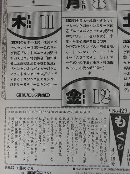 Weekly Pro Wrestling 429