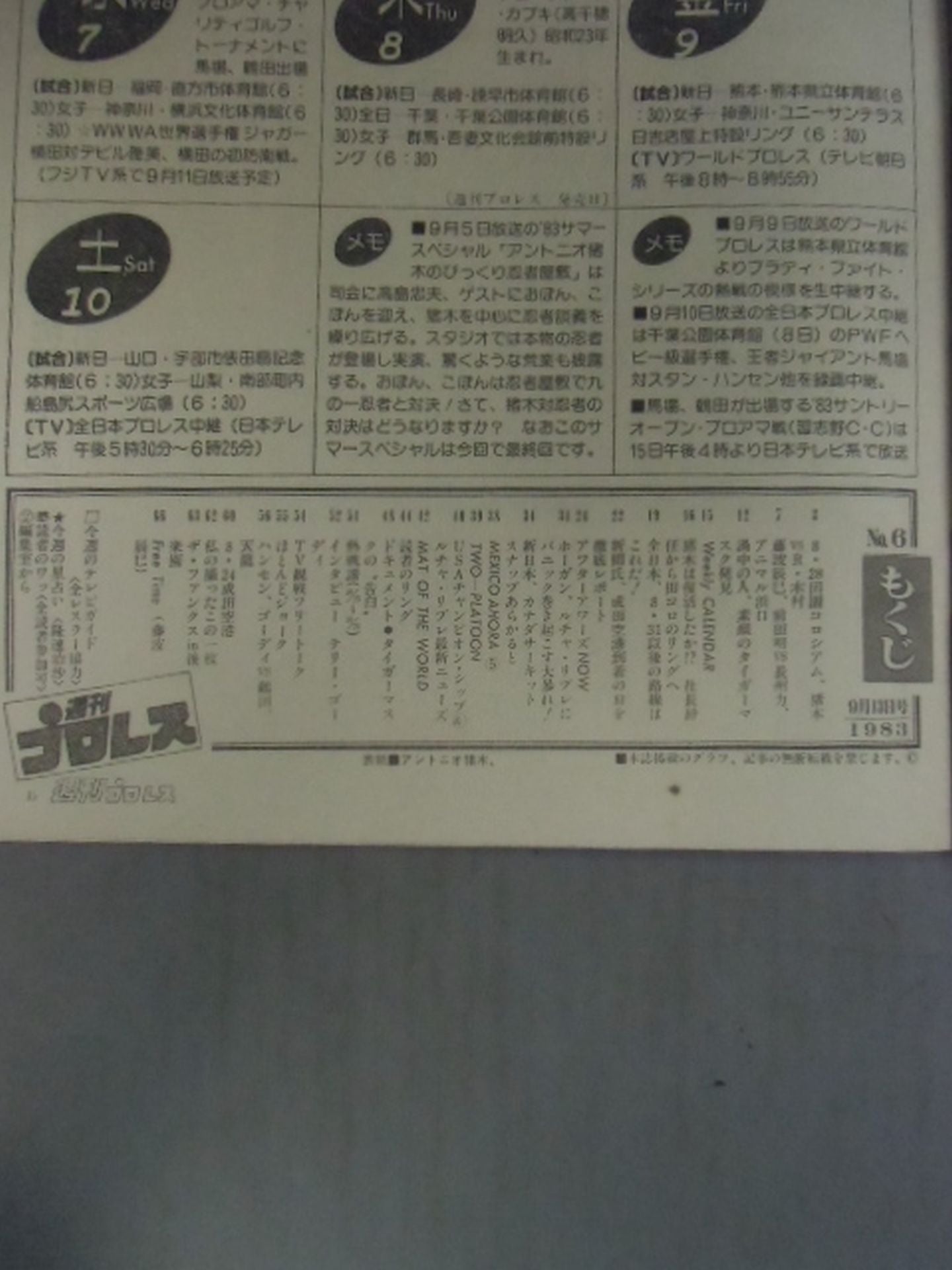 Weekly Pro Wrestling 7