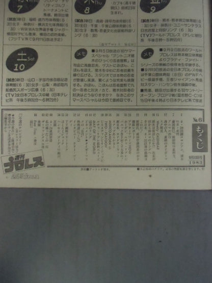 Weekly Pro Wrestling 7