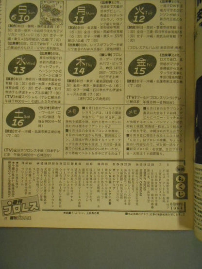 週刊プロレス46