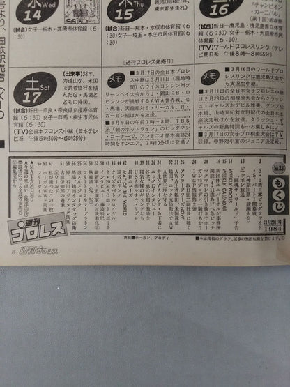 週刊プロレス33