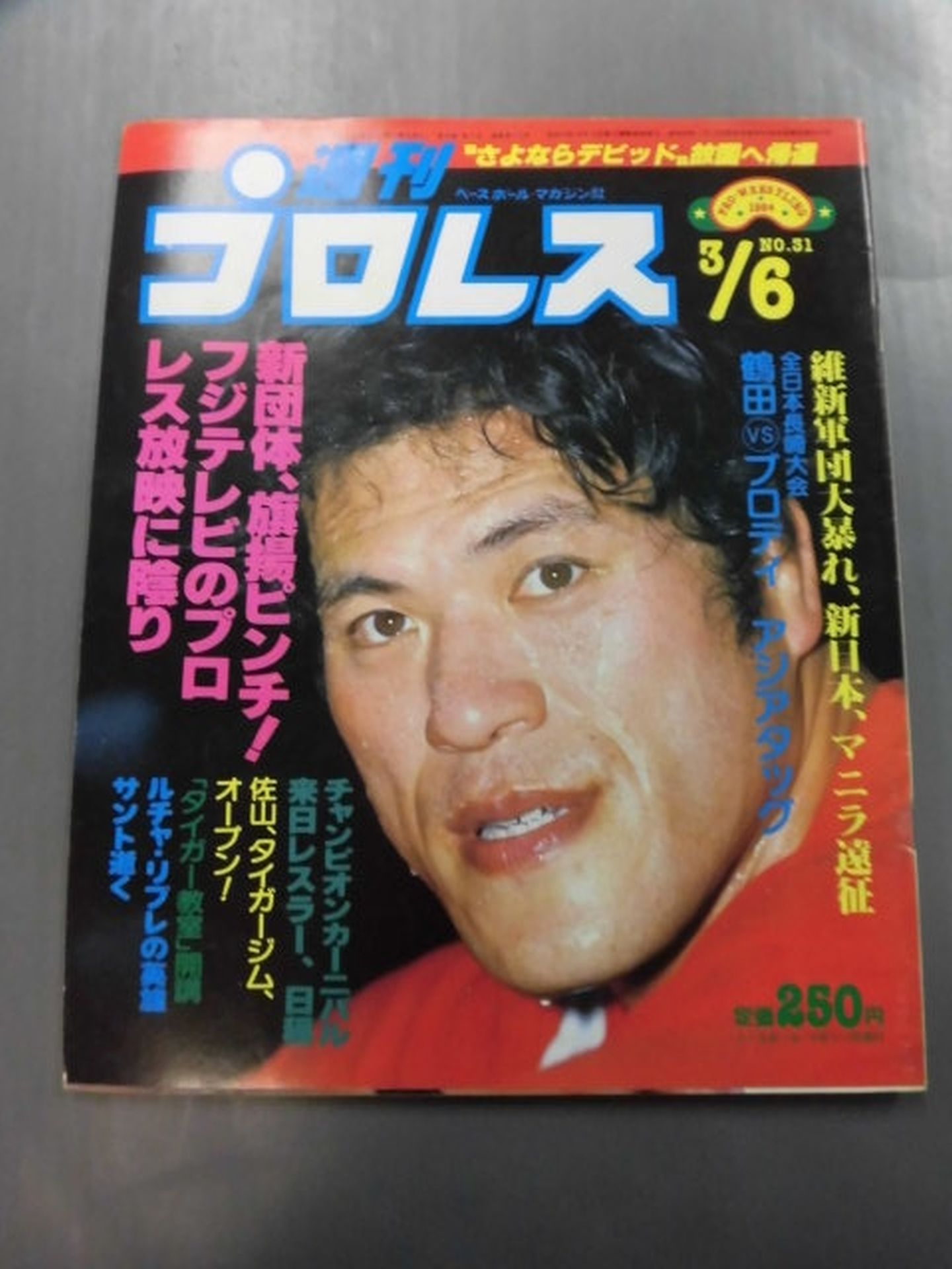 Weekly Pro Wrestling 31