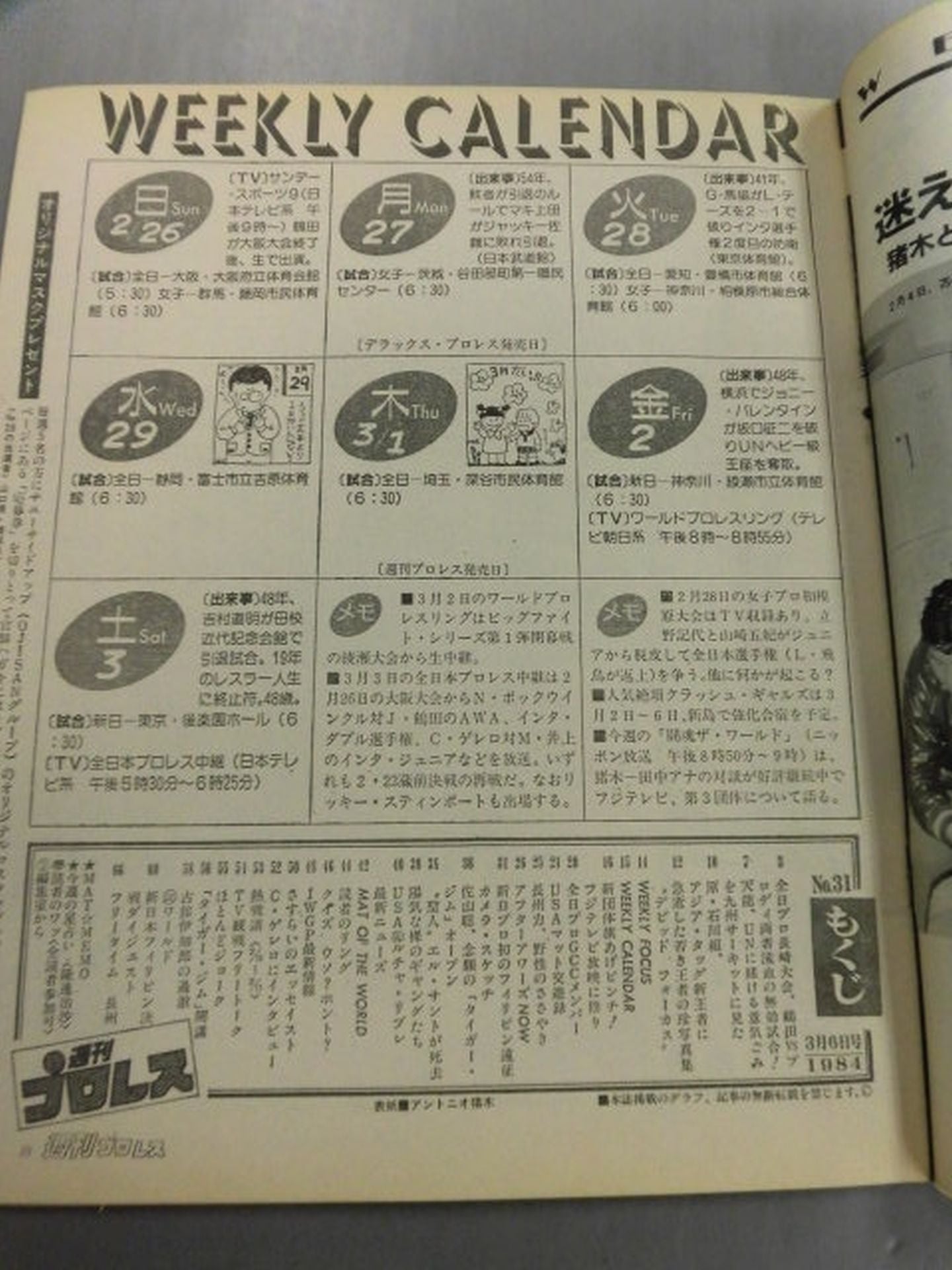 Weekly Pro Wrestling 31