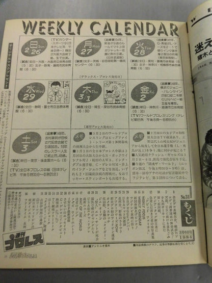 Weekly Pro Wrestling 31