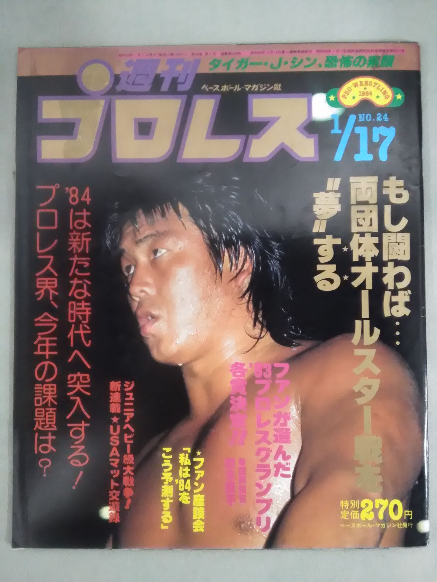 Weekly Pro Wrestling 24