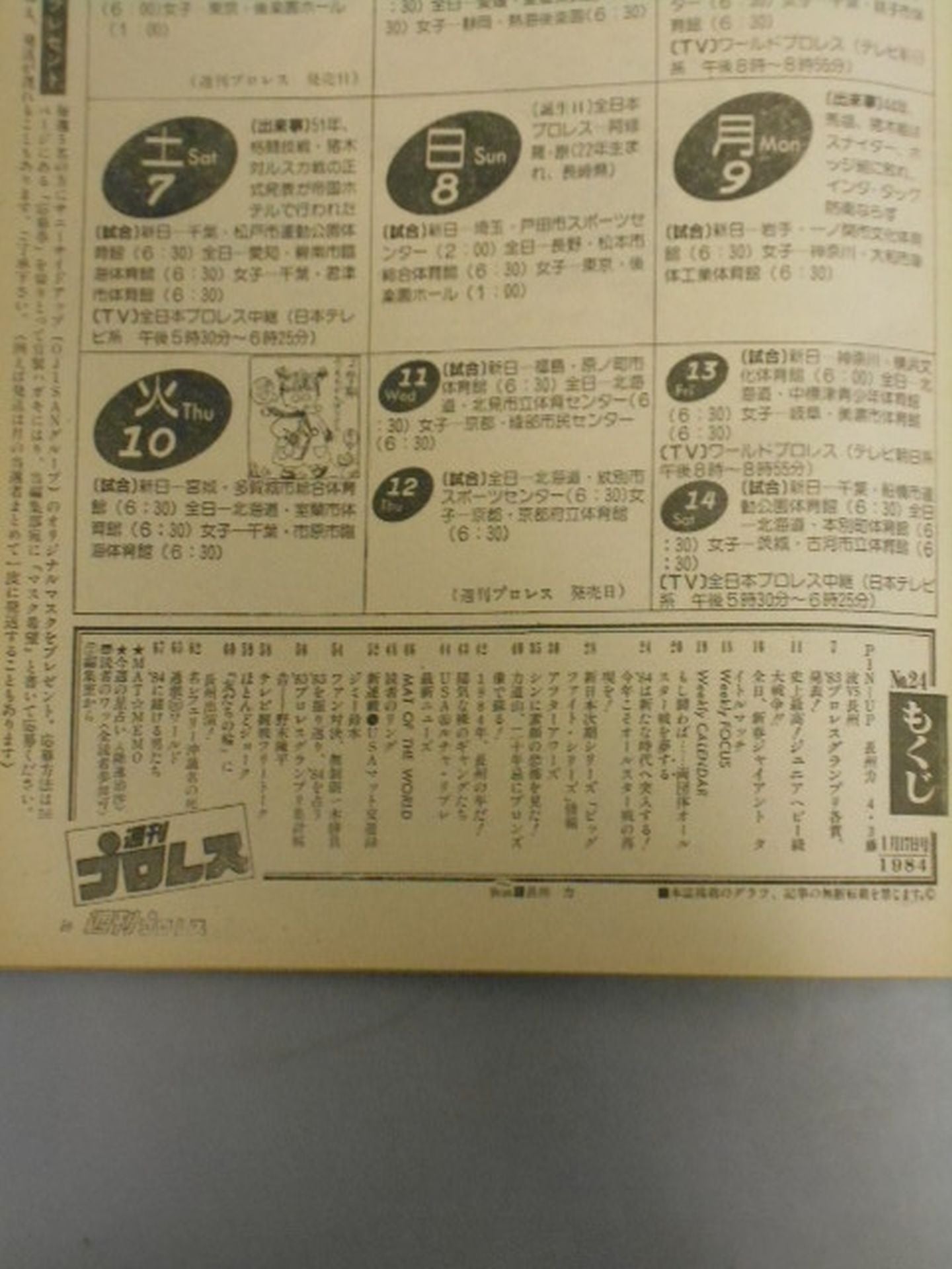 Weekly Pro Wrestling 24