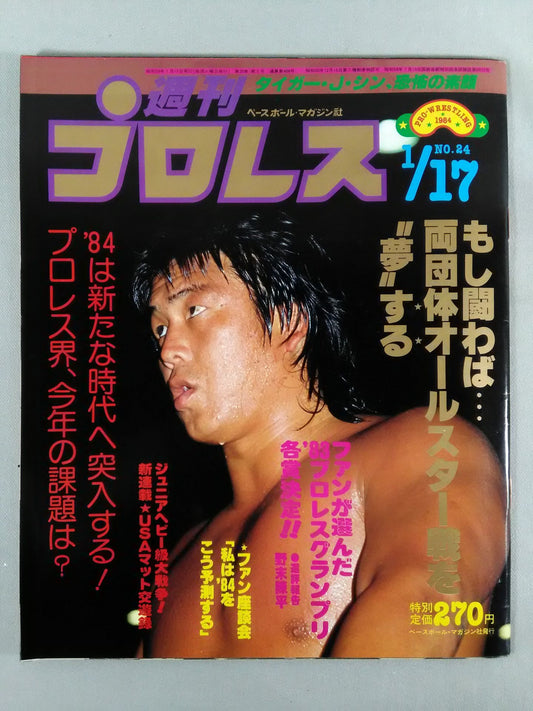 Weekly Pro Wrestling 24