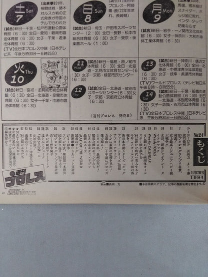 Weekly Pro Wrestling 24