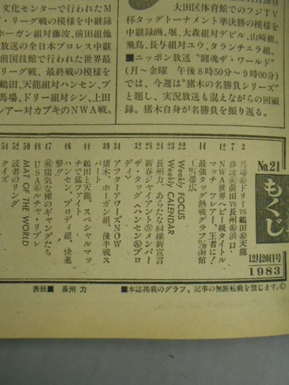 Weekly Pro Wrestling 21