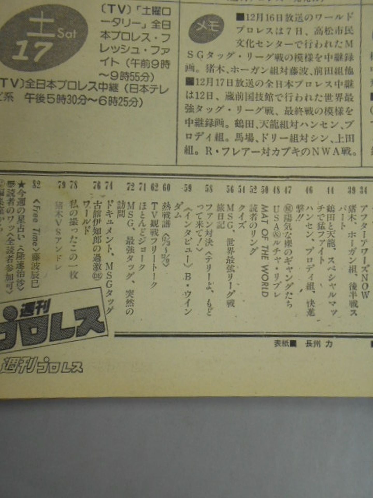 Weekly Pro Wrestling 21