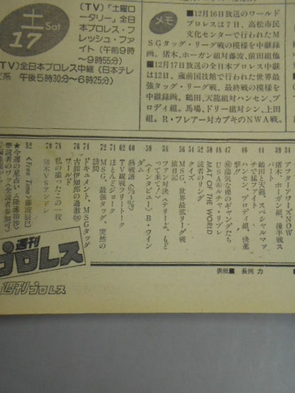 Weekly Pro Wrestling 21