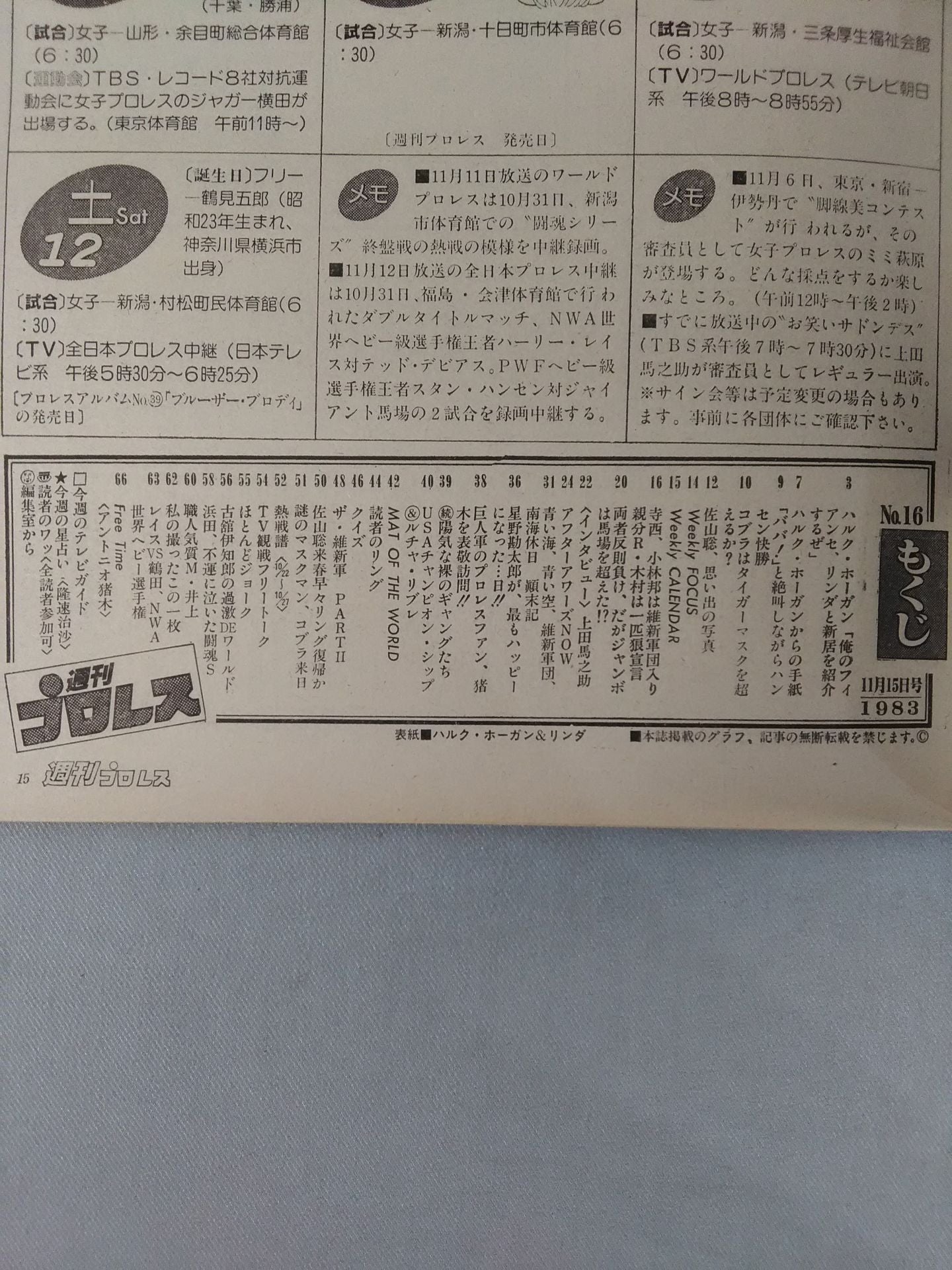 週刊プロレス16