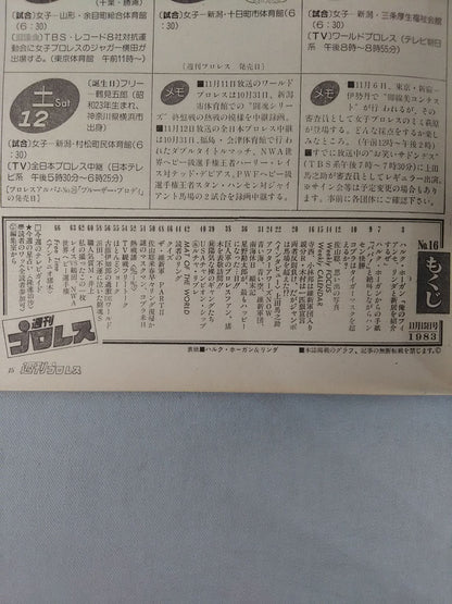 週刊プロレス16