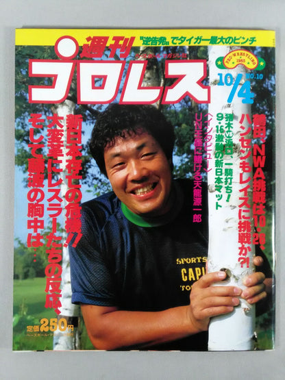 Weekly Pro Wrestling 10