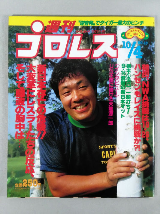 Weekly Pro Wrestling 10