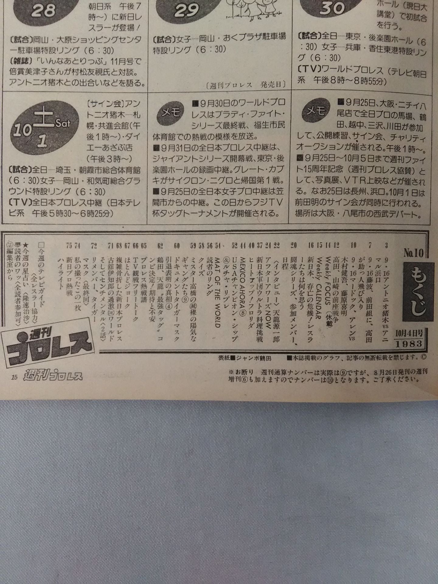 Weekly Pro Wrestling 10