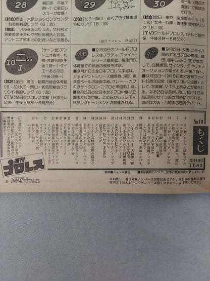 Weekly Pro Wrestling 10