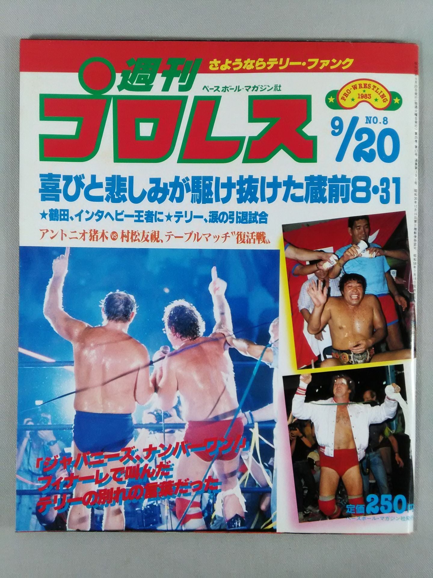 Weekly Pro Wrestling 8