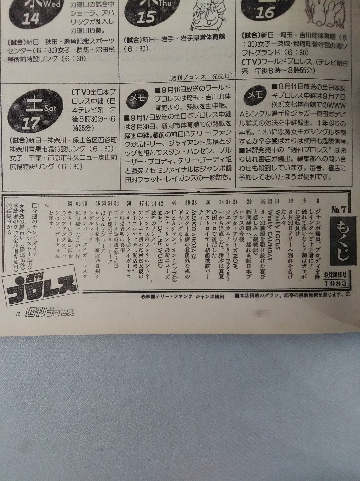 Weekly Pro Wrestling 8