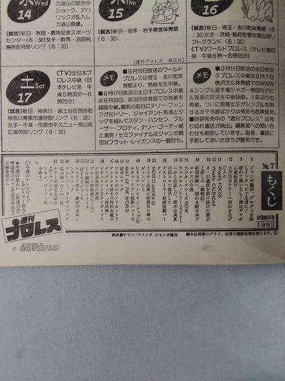 Weekly Pro Wrestling 8