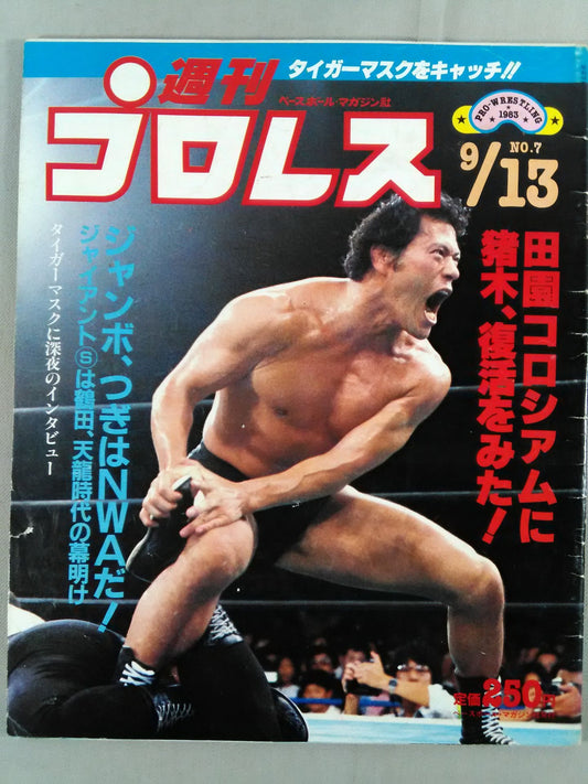 週刊プロレス7
