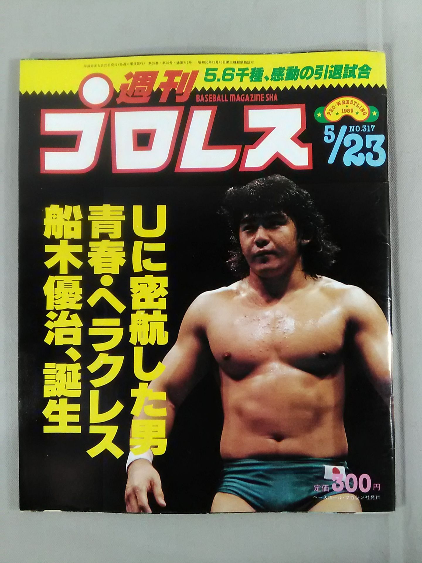 Weekly Pro Wrestling 317