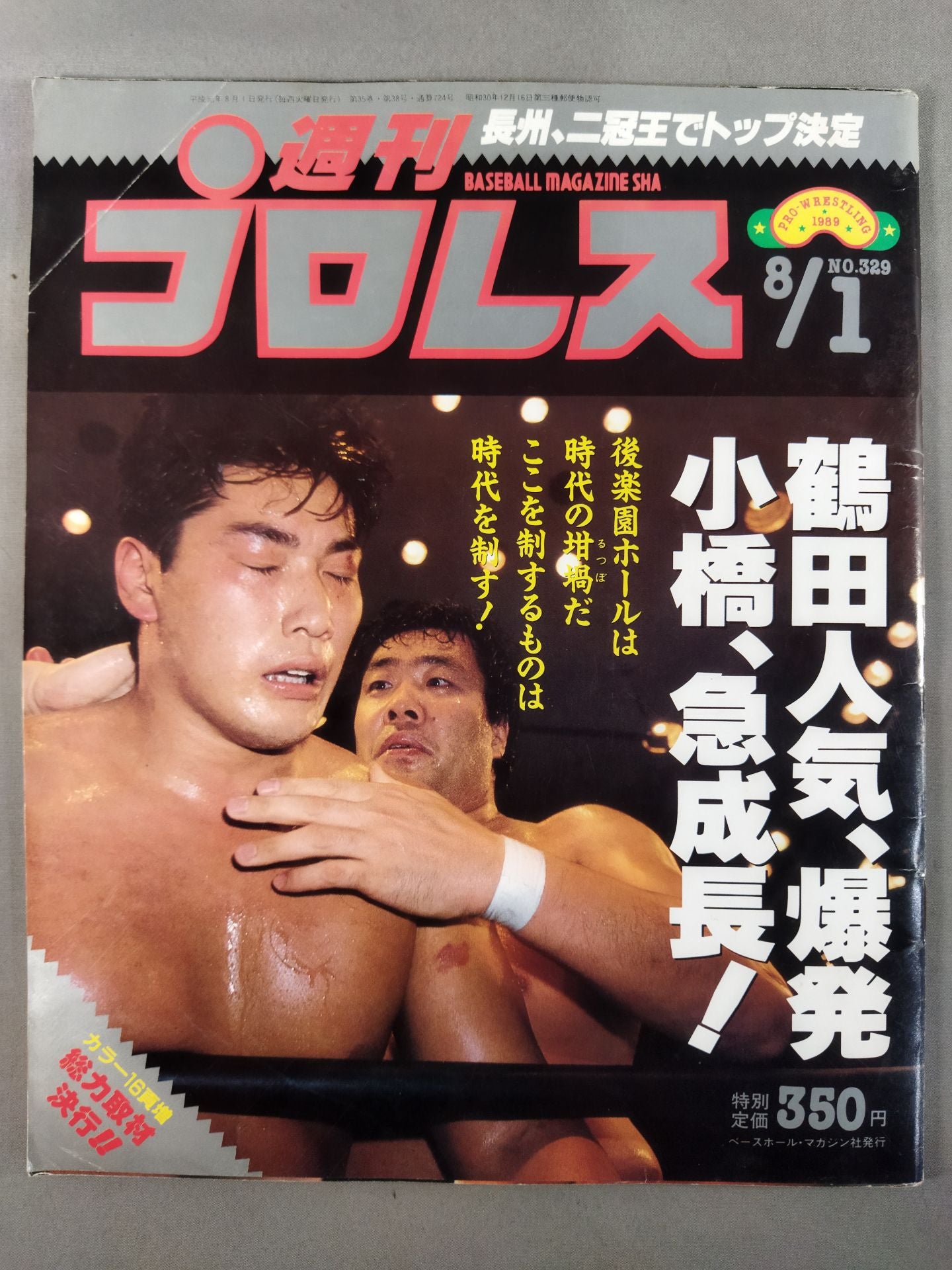 Weekly Pro Wrestling 329