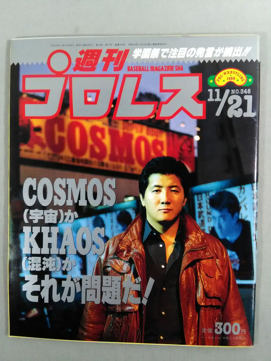 Weekly Pro Wrestling 348
