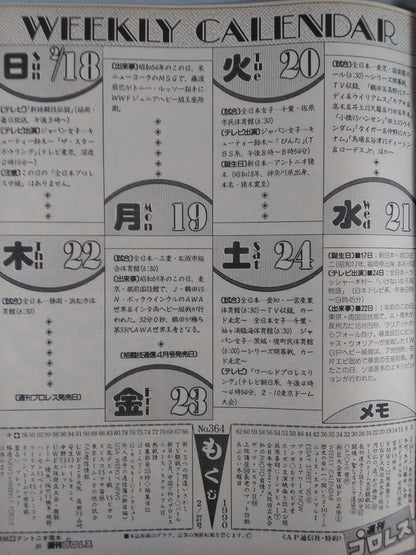 Weekly Pro Wrestling 364