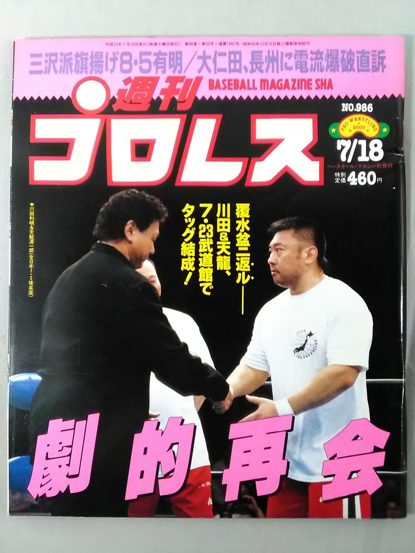 Weekly Pro Wrestling 986