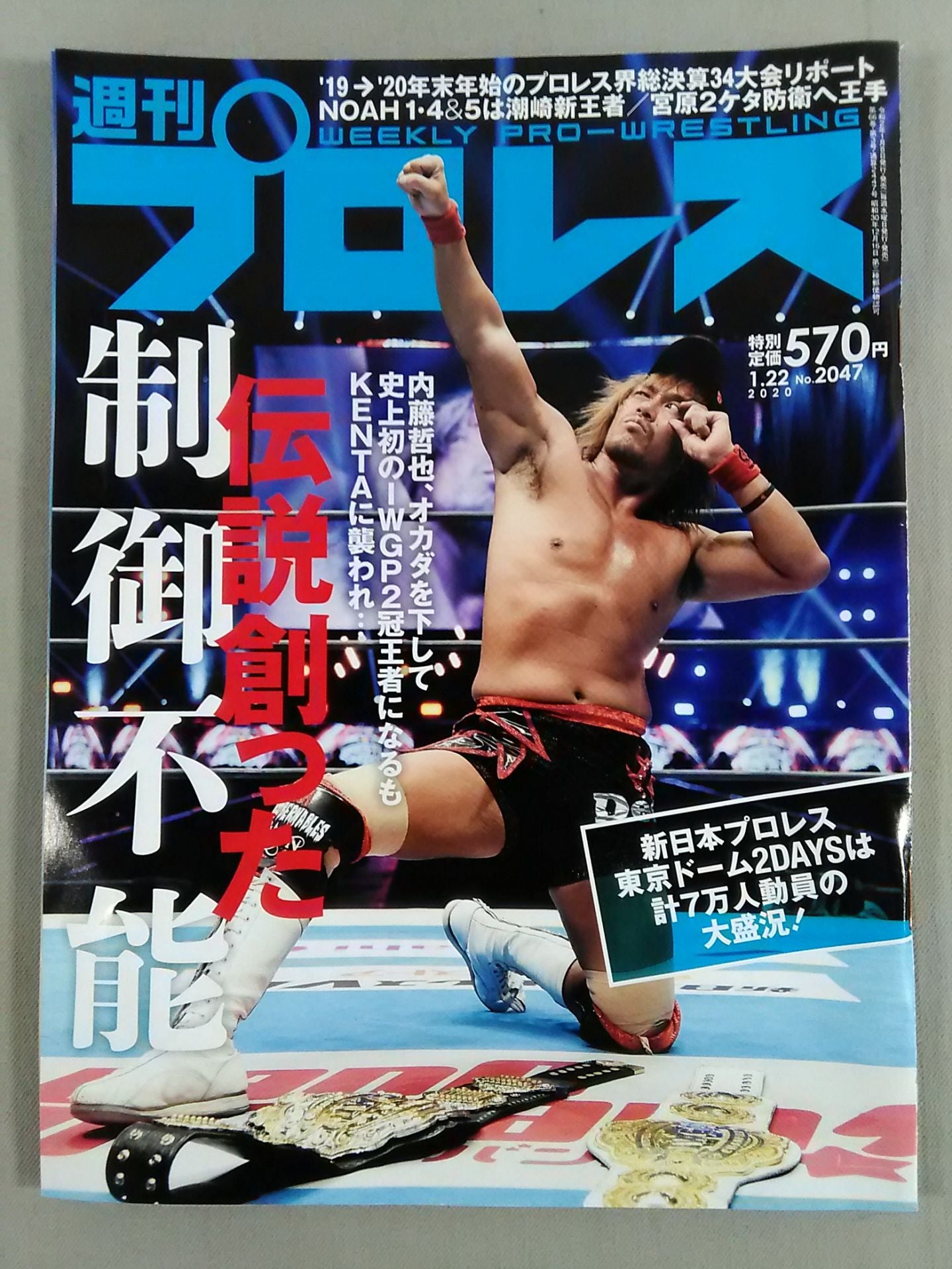 Weekly Pro Wrestling  2047