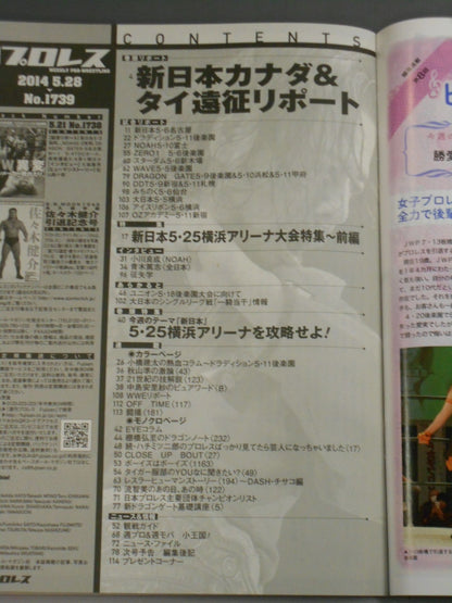Weekly Pro Wrestling 1739